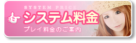 システム料金